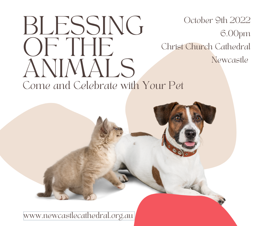 Come and celebrate with your companion animal 6pm Sunday 9th October 2022